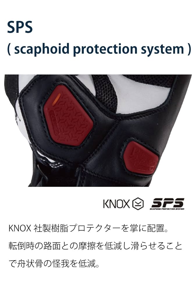 Amazon.co.jp: RSタイチ(RS TAICHI) GP-EVO.R レーシング